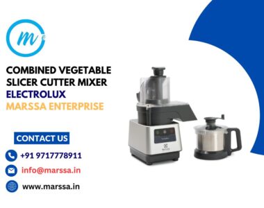 COMBINED VEGETABLE SLICER CUTTER MIXER Electrolux Marssa Enterprise Goa Panjim Varca