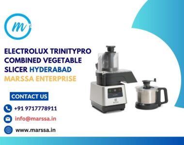 Electrolux TrinityPro Combined Vegetable Slicer Hyderabad Marssa Enterprise