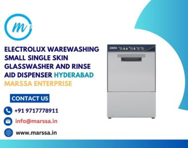 Electrolux Warewashing Small Single Skin Glasswasher and rinse aid dispenser Hyderabad Marssa Enterprise