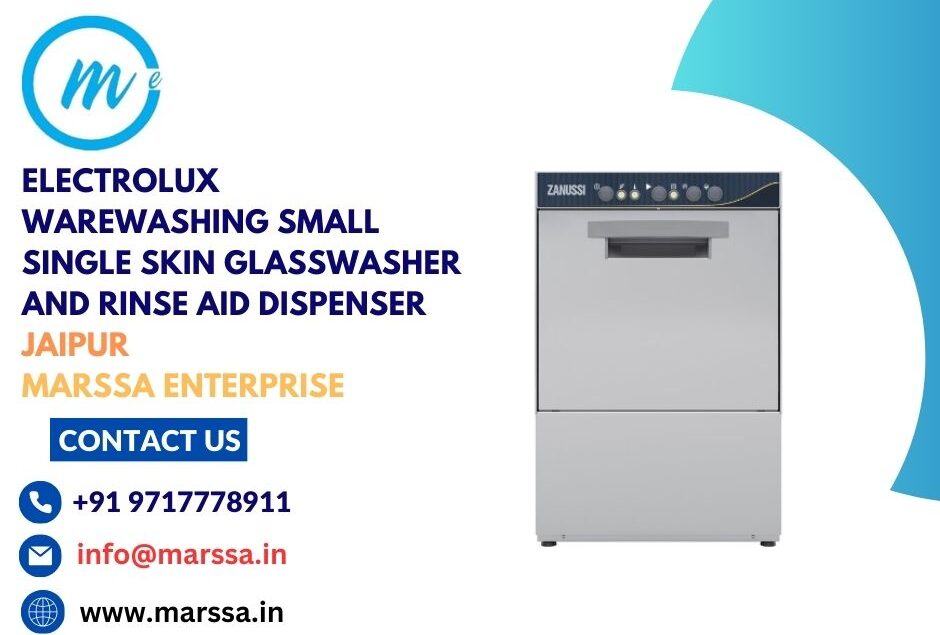 Electrolux Warewashing Small Single Skin Glasswasher and rinse aid dispenser Jaipur Marssa Enterprise