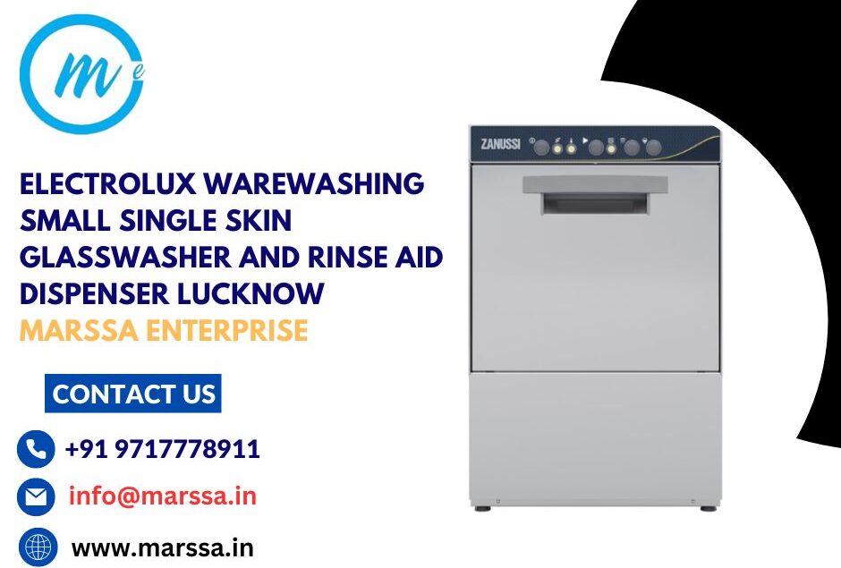 Electrolux Warewashing Small Single Skin Glasswasher and rinse aid dispenser Lucknow Marssa Enterprise