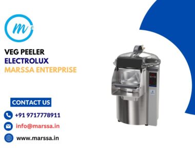 VEG.PEELER+ABRAS.PL.10KG-200-440/3/50-60 Electrolux Marssa Enterprise Goa Panjim Varca