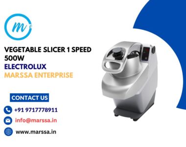 VEGETABLE SLICER 1 SPEED 500W 220 240150 Electrolux Marssa Enterprise Goa Panjim Varca