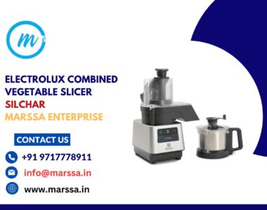 Electrolux Combined Vegetable Slicer Silchar Marssa Enterprise