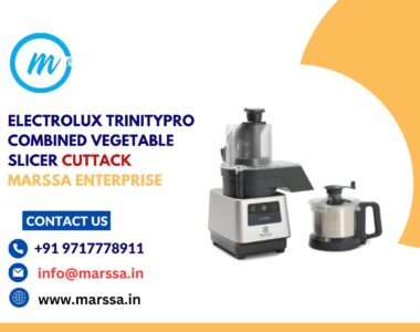 Electrolux TrinityPro Combined Vegetable Slicer Cuttack Marssa Enterprise