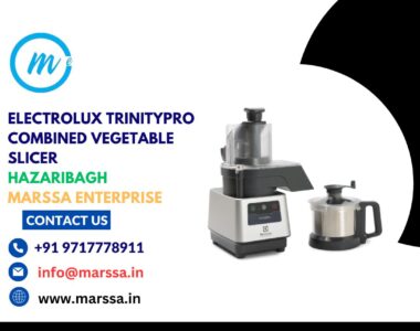 Electrolux TrinityPro Combined Vegetable Slicer Hazaribagh Marssa Enterprise