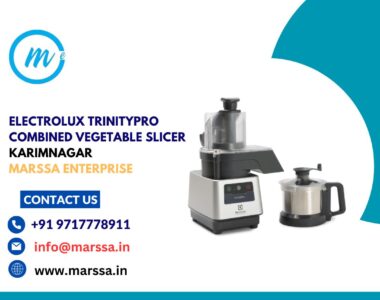 Electrolux TrinityPro Combined Vegetable Slicer Karimnagar Marssa Enterprise