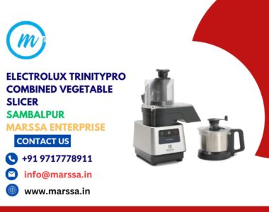 Electrolux TrinityPro Combined Vegetable Slicer Sambalpur Marssa Enterprise