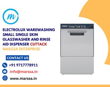 Electrolux Warewashing Small Single Skin Glasswasher and rinse aid dispenser Cuttack Marssa Enterprise