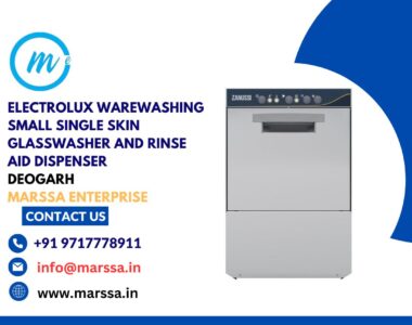 Electrolux Warewashing Small Single Skin Glasswasher and rinse aid dispenser Deogarh Marssa Enterprise