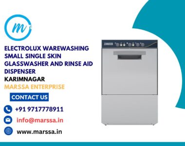 Electrolux Warewashing Small Single Skin Glasswasher and rinse aid dispenser Karimnagar Marssa Enterprise