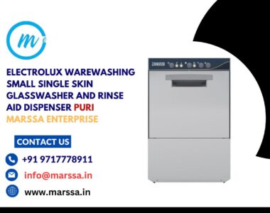 Electrolux Warewashing Small Single Skin Glasswasher and rinse aid dispenser Puri Marssa Enterprise