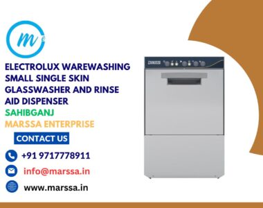 Electrolux Warewashing Small Single Skin Glasswasher and rinse aid dispenser Sahibganj Marssa Enterprise