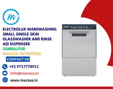 Electrolux Warewashing Small Single Skin Glasswasher and rinse aid dispenser Sambalpur Marssa Enterprise