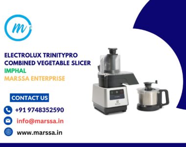 Electrolux TrinityPro Combined Vegetable Slicer Imphal Marssa Enterprise.