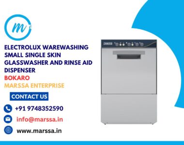 Electrolux Warewashing Small Single Skin Glasswasher and rinse aid dispenser Bokaro Marssa Enterprise