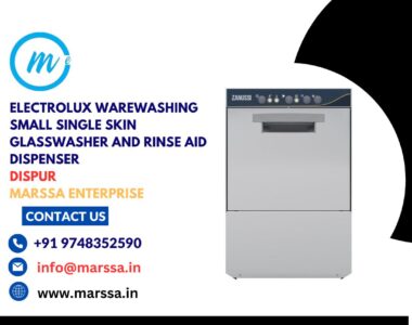 Electrolux Warewashing Small Single Skin Glasswasher and rinse aid dispenser Dispur Marssa Enterprise