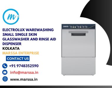 Electrolux Warewashing Small Single Skin Glasswasher and rinse aid dispenser Kolkata Marssa Enterprise