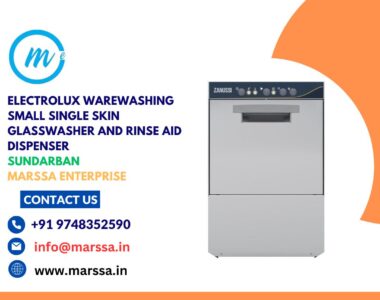 Electrolux Warewashing Small Single Skin Glasswasher and rinse aid dispenser Sundarban Marssa Enterprise