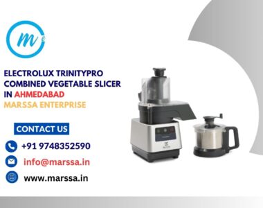 Electrolux TrinityPro Combined Vegetable Slicer in Ahmedabad Marssa Enterprise