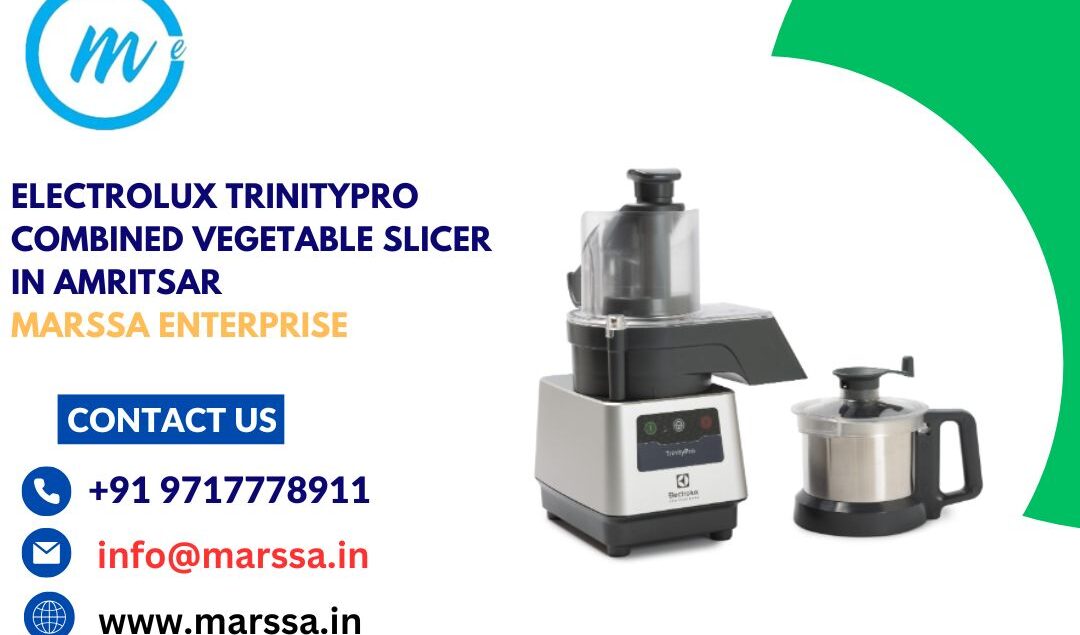 Electrolux TrinityPro Combined Vegetable Slicer in Amritsar Marssa Enterprise