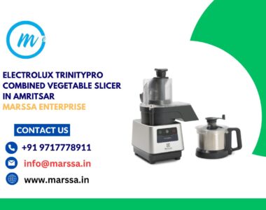 Electrolux TrinityPro Combined Vegetable Slicer in Amritsar Marssa Enterprise