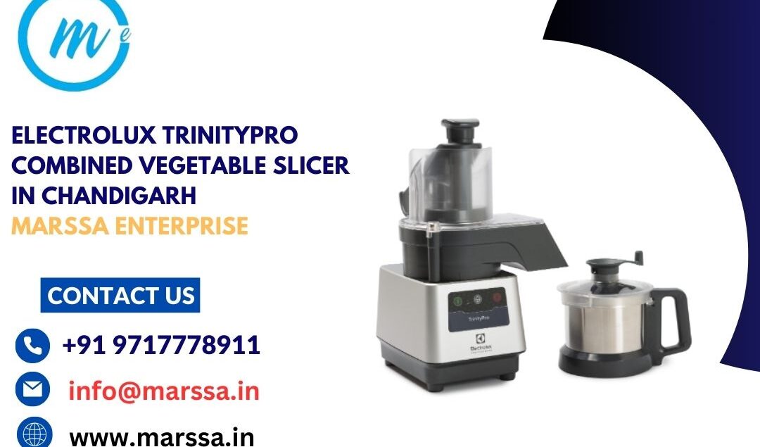 Electrolux TrinityPro Combined Vegetable Slicer in Chandigarh Marssa Enterprise