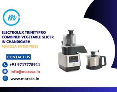 Electrolux TrinityPro Combined Vegetable Slicer in Chandigarh Marssa Enterprise