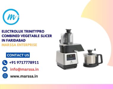 Electrolux TrinityPro Combined Vegetable Slicer in Faridabad Marssa Enterprise