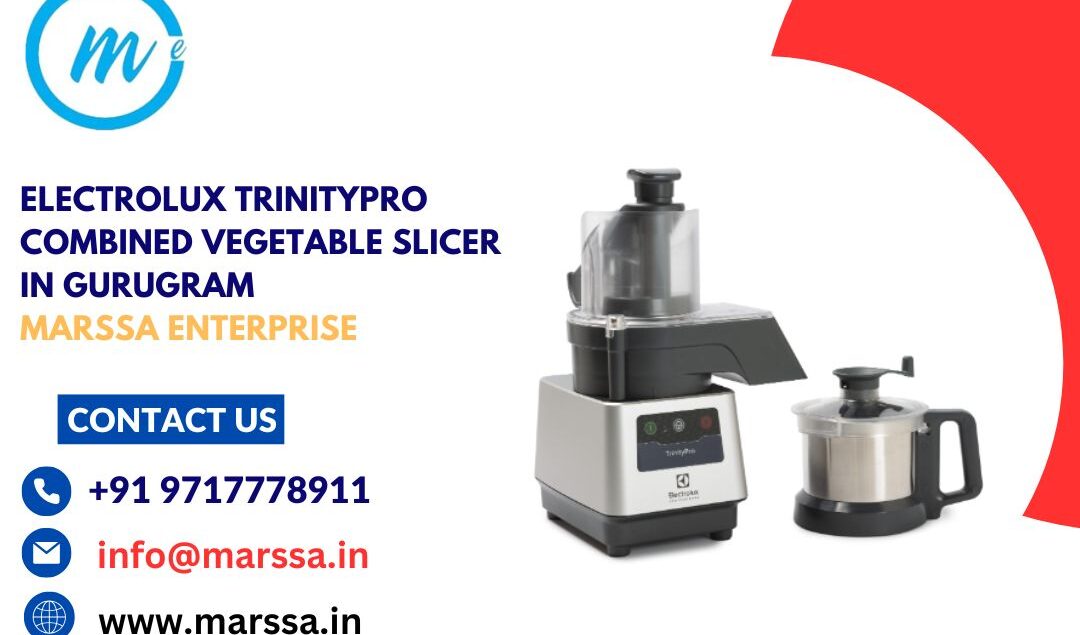 Electrolux TrinityPro Combined Vegetable Slicer in Gurugram Marssa Enterprise