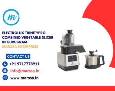 Electrolux TrinityPro Combined Vegetable Slicer in Gurugram Marssa Enterprise