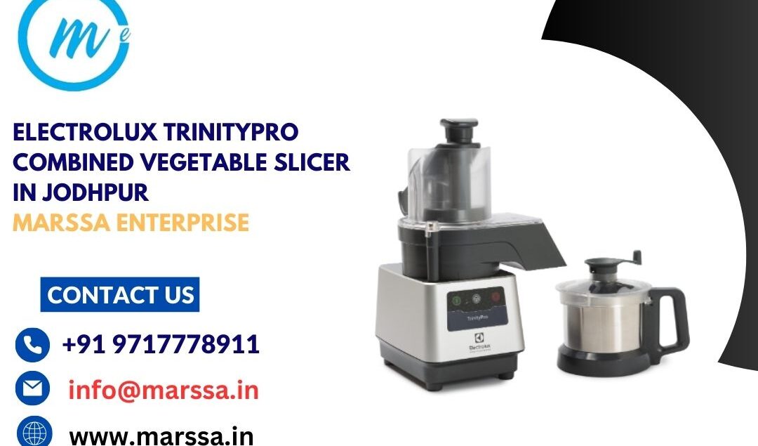 Electrolux TrinityPro Combined Vegetable Slicer in Jodhpur Marssa Enterprise