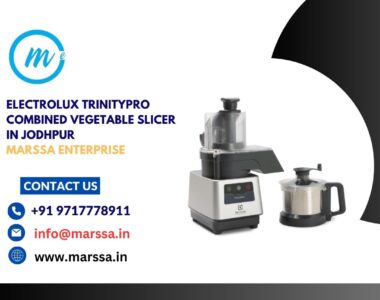 Electrolux TrinityPro Combined Vegetable Slicer in Jodhpur Marssa Enterprise