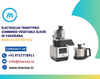 Electrolux TrinityPro Combined Vegetable Slicer in Vadodara Marssa Enterprise