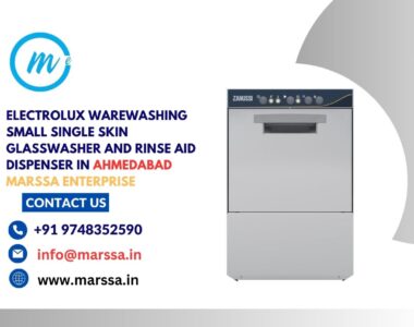 Electrolux Warewashing Small Single Skin Glasswasher and rinse aid dispenser in Ahmedabad Marssa Enterprise