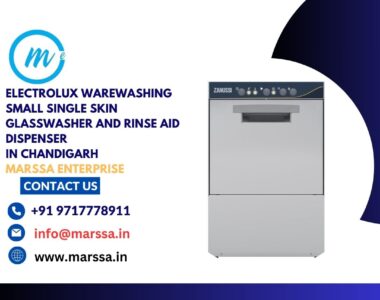 Electrolux Warewashing Small Single Skin Glasswasher and rinse aid dispenser in Chandigarh Marssa Enterprise