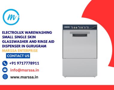 Electrolux Warewashing Small Single Skin Glasswasher and rinse aid dispenser in Gurugram Marssa Enterprise