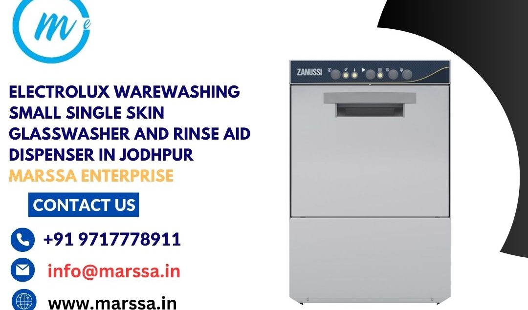 Electrolux Warewashing Small Single Skin Glasswasher and rinse aid dispenser in Jodhpur Marssa Enterprise