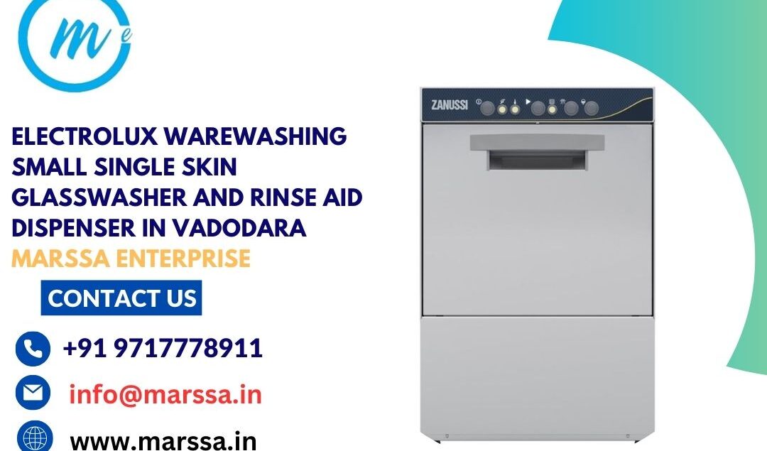 Electrolux Warewashing Small Single Skin Glasswasher and rinse aid dispenser in Vadodara Marssa Enterprise