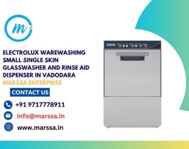 Electrolux Warewashing Small Single Skin Glasswasher and rinse aid dispenser in Vadodara Marssa Enterprise