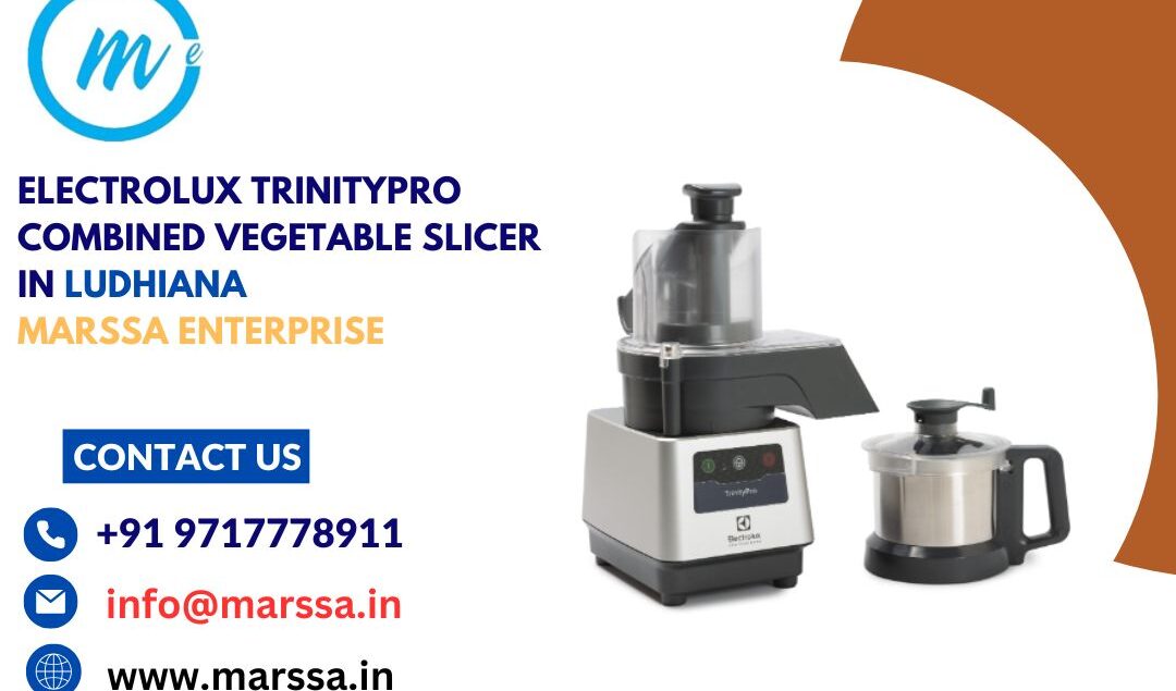 Electrolux TrinityPro Combined Vegetable Slicer in Ludhiana Marssa Enterprise