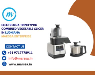 Electrolux TrinityPro Combined Vegetable Slicer in Ludhiana Marssa Enterprise