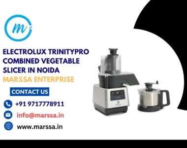 Electrolux TrinityPro Combined Vegetable Slicer in Noida Marssa Enterprise