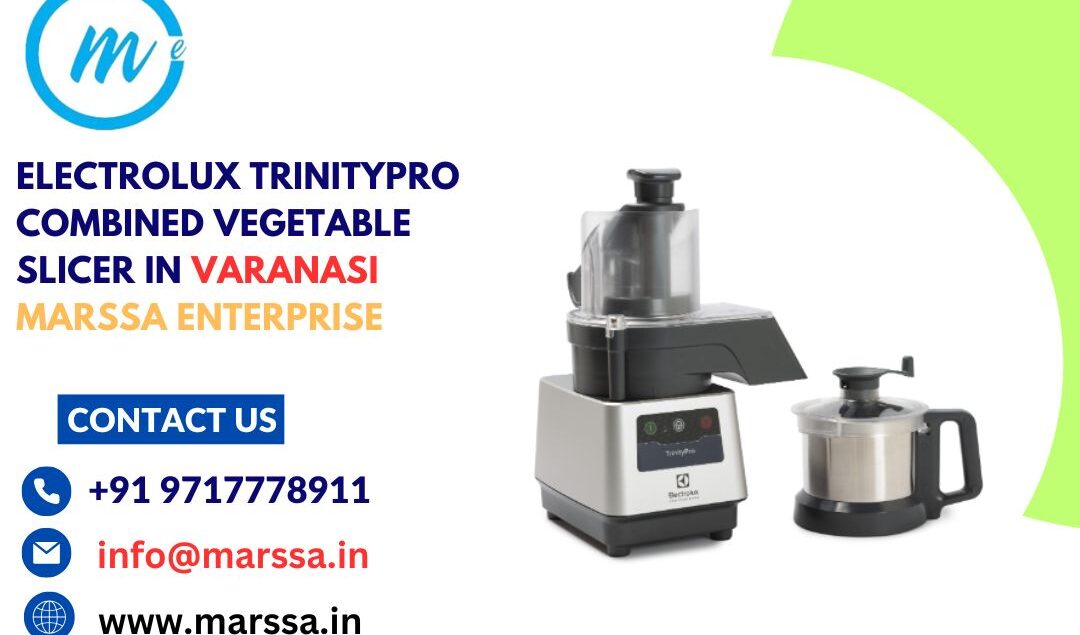 Electrolux TrinityPro Combined Vegetable Slicer in Varanasi Marssa Enterprise