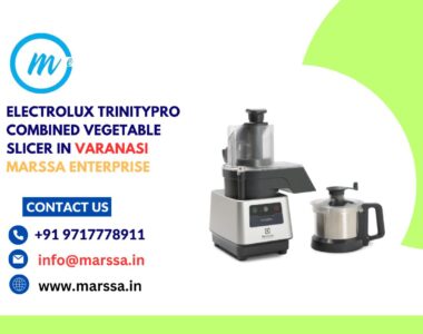 Electrolux TrinityPro Combined Vegetable Slicer in Varanasi Marssa Enterprise