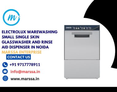 Electrolux Warewashing Small Single Skin Glasswasher and rinse aid dispenser in Noida Marssa Enterprise