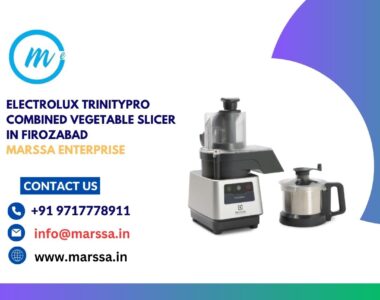 Electrolux TrinityPro Combined Vegetable Slicer in Firozabad Marssa Enterprise