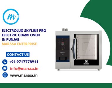 Electrolux SkyLine Pro Electric Combi Oven in Punjab Marssa Enterprise