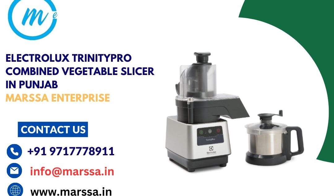 Electrolux TrinityPro Combined Vegetable Slicer in Punjab Marssa Enterprise