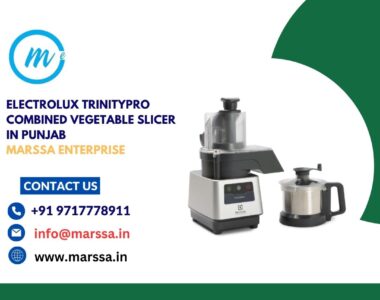 Electrolux TrinityPro Combined Vegetable Slicer in Punjab Marssa Enterprise